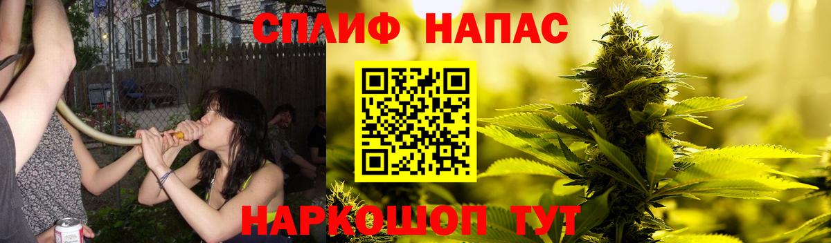 Шишки марихуана MAZAR  Бошки марихуана сатива  Марихуана гибрид  Бердск  Бошки марихуана White Widow  Вход с VPN 